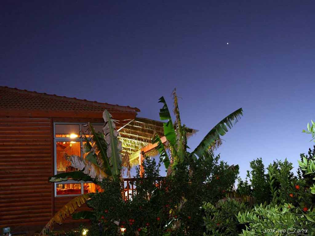 סוויטת ביקתפוז